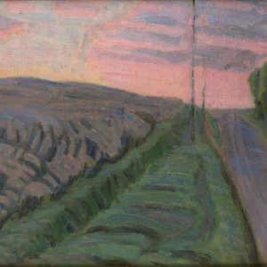 Niels Larsen Stevns-samlingen